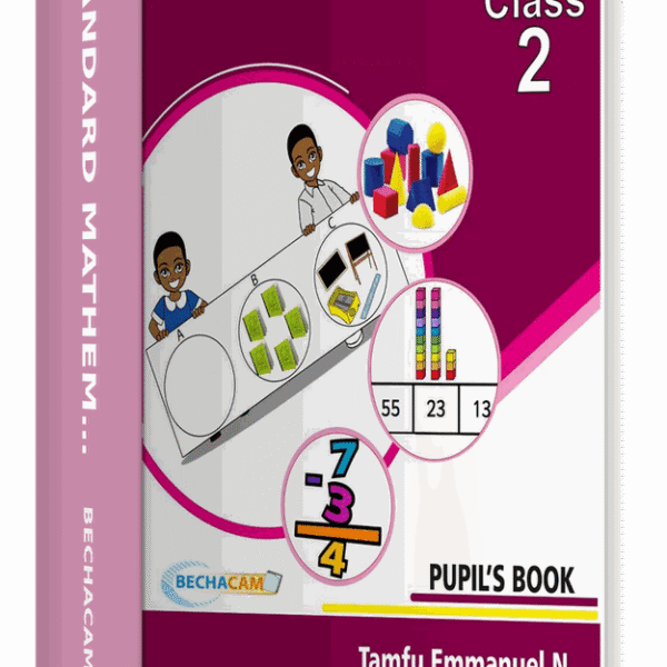 Standard Mathematics — Class 2